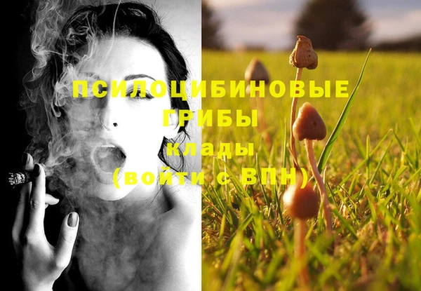 мет Алексин