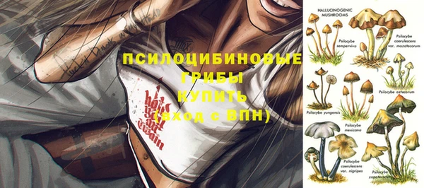 мет Алексин