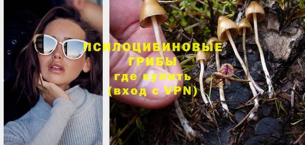 мет Алексин