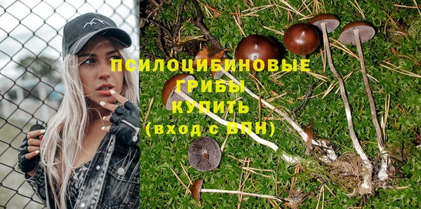 бутират Кукмор